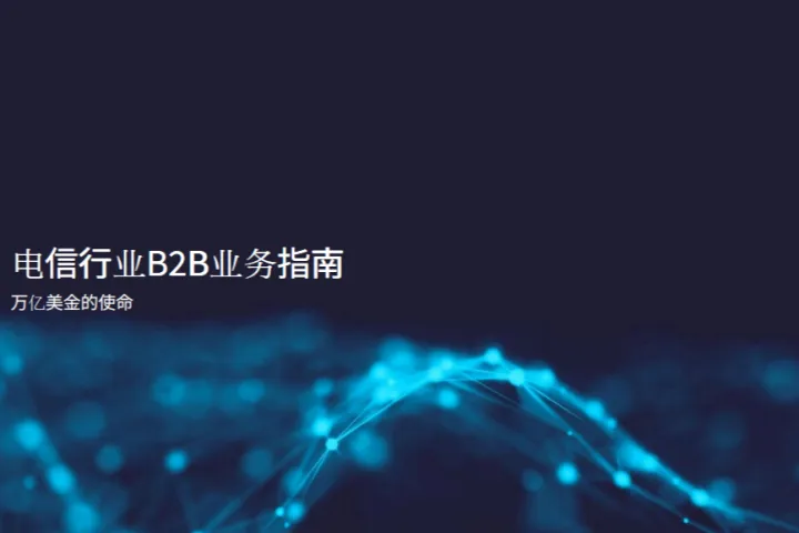 Omdia：2025<em>电信</em>行业B2B业务指南万亿美金的使命