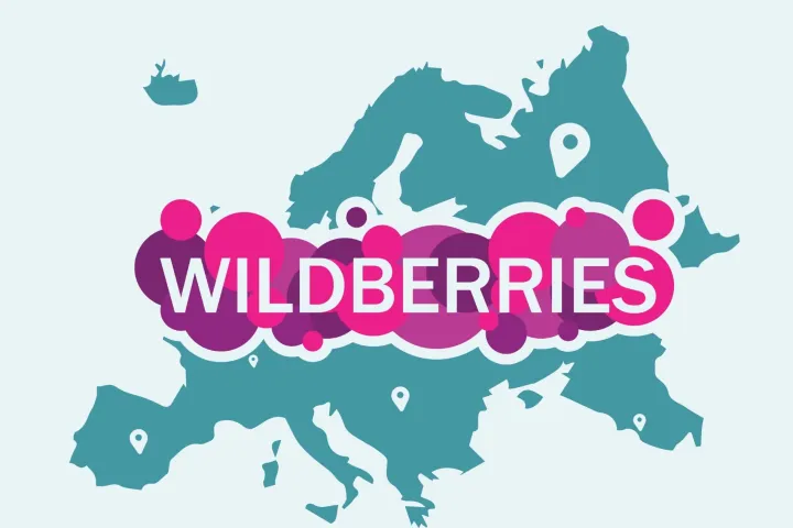 入驻Wildberries的优劣势分析