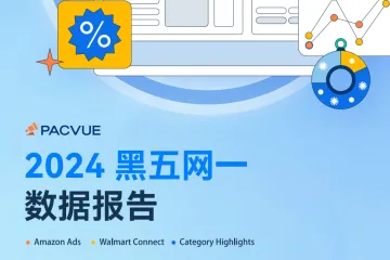 Pacvue泊客电商：2024黑五网一数据报告