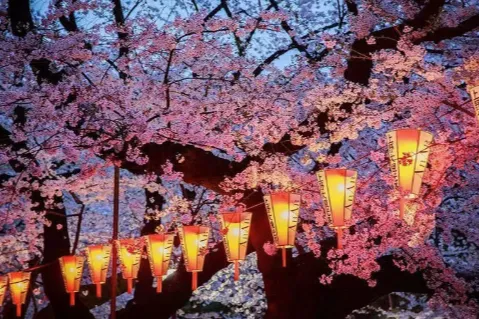 樱花季&盂兰盆节来袭！跨境电商如何精准匹配日本节日消费需求？