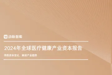 动脉智库：2024年全球医疗健康产业资本报告