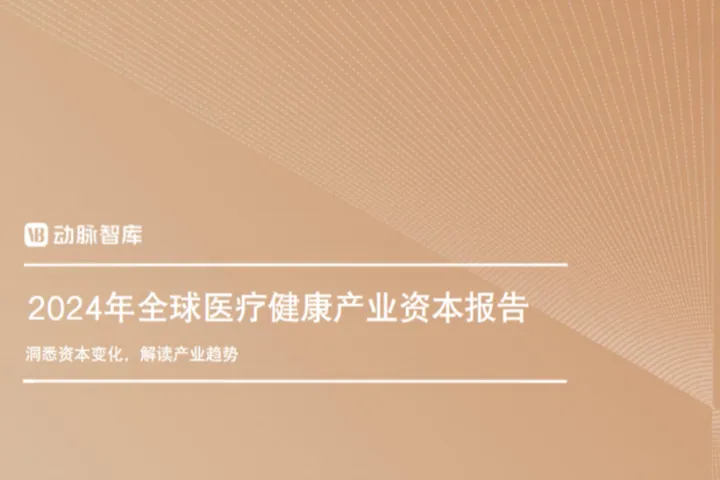 动脉智库：2024年全球医疗健康产业资本报告