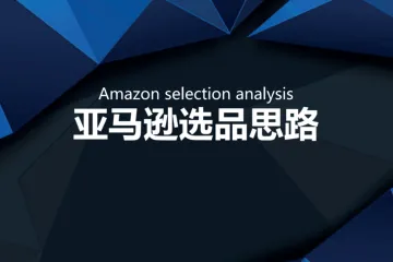 1.11 亚马逊大卖内部选品思路PPT（共68页）_纯图版