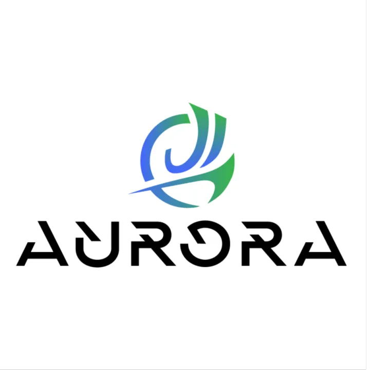 极光出海-外贸独立站｜WordPress建站+谷歌SEO