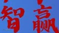 出海同行为 智嬴未来