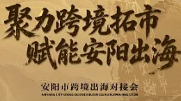 聚力跨境拓市 赋能安阳出海——安阳市跨境出海对接会