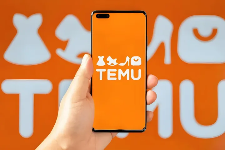 Temu的崛起，传统独立站卖家如何破局？