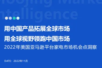 魔镜市场情报：2022年美国亚马逊平台家电市场机会点洞察报告