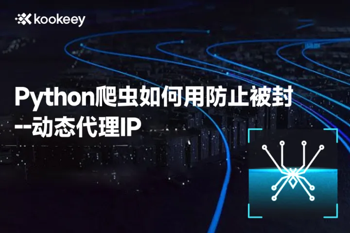 爬虫党必看：如何用动态IP绕过平台限制