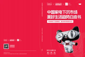 天猫优品GfK中国家电下沉市场美好生活趋势白皮书36页