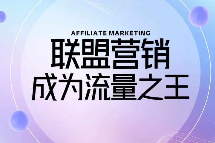 金融联盟营销项目中的关键细节
