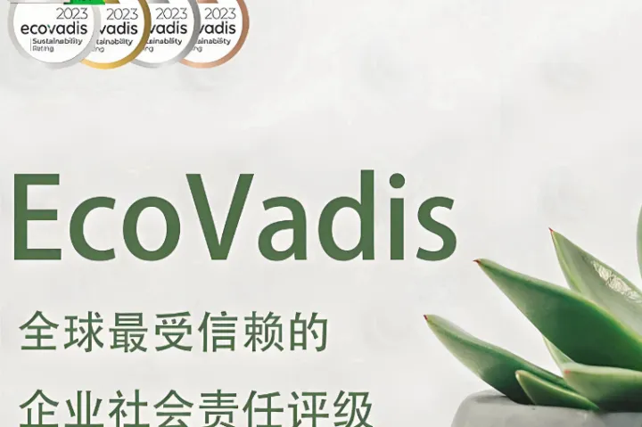 深入解读2025年EcoVadis评估标准：靠谱办理咨询代办机构TOP5实力榜单