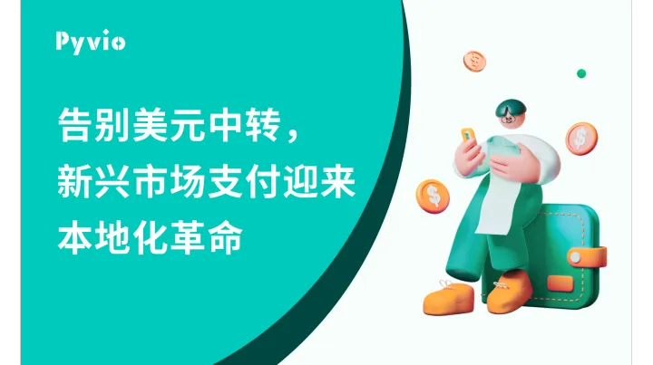 新兴本地支付崛起：挑战以美元为基础的SWIFT体系 | Pyvio湃沃