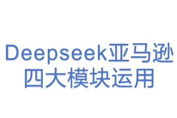 Deepseek亚马逊四大模块运用