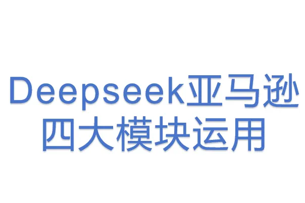 Deepseek亚马逊<em>四大</em>模块运用