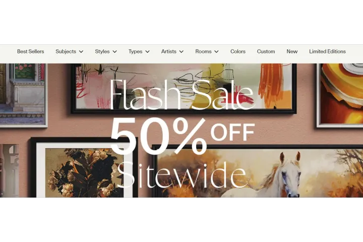 独立站优秀案例分析：装饰画品牌如何满足不同消费需求？