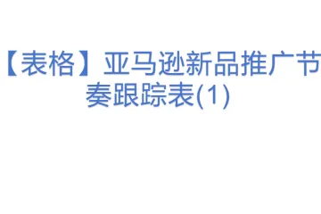 【表格】亚马逊新品推广节奏跟踪表(1)