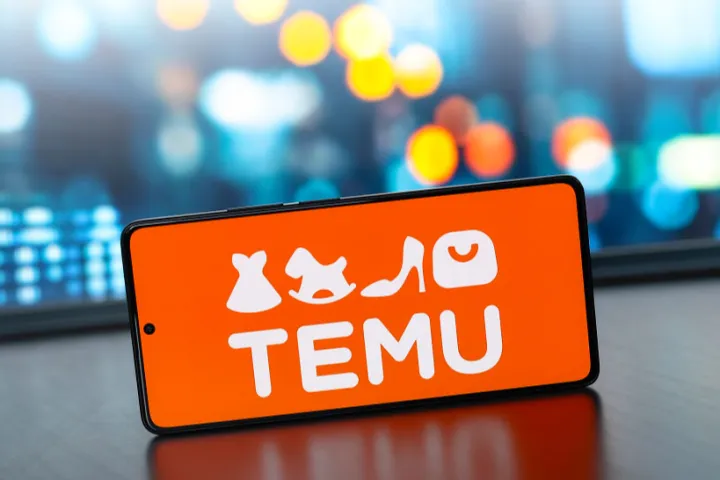 Temu账号类型
