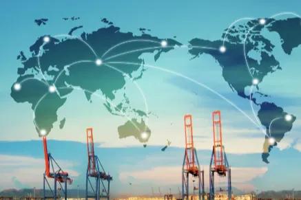 Ebay 小白运营技巧与卖家最低标准：从入门到合规的核心指南