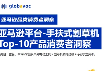2024年亚马逊平台手扶式割草机Top10产品消费者洞察报告.globavoc.2024-01-01