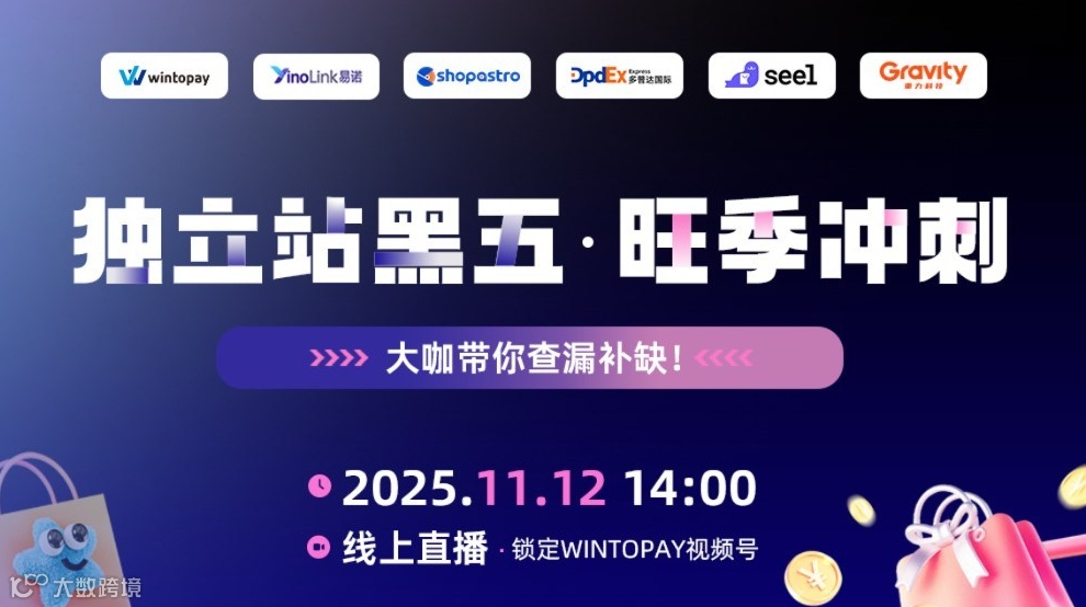 独立站黑五 · 旺季冲刺