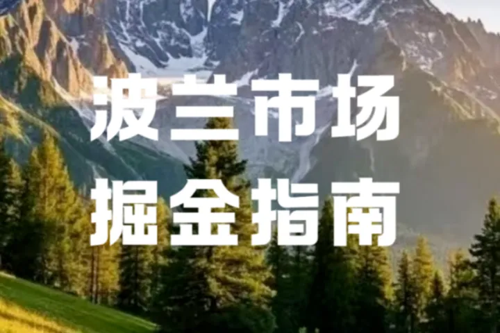 波兰电商市场变天！Temu用户破2000万，中国跨境平台如何突围？