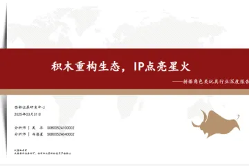 搭拼类角色玩具行业深度报告积木重构生态IP点亮星火-25033147页