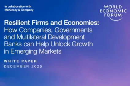 WEF：2025韧性企业与经济体企业<em>政府</em>与多边开发银行如何助力解锁新兴市场增长白皮书英文版