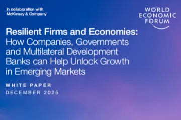 WEF：2025韧性企业与经济体企业政府与多边开发银行如何助力解锁新兴市场增长白皮书英文版