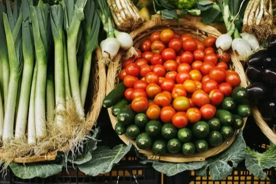 中国农产品国际采购：TradeKey平台供应商开发方法论