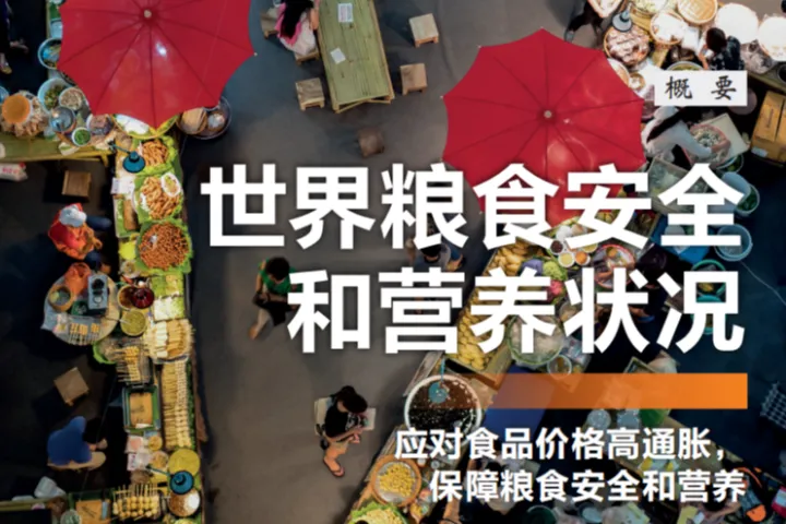 联合国粮农组织：2025年<em>世界</em>粮食安全和营养状况报告概要版