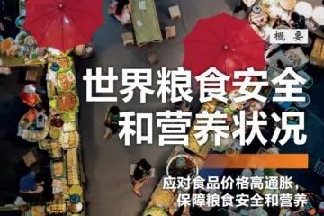 联合国粮农组织：2025年世界粮食安全和营养状况报告概要版