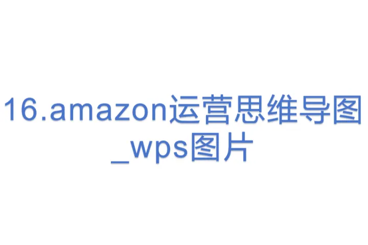 16.amazon<em>运营</em>思维导<em>图</em>_wps图片