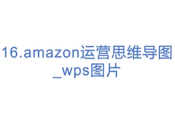 16.amazon运营思维导图_wps图片