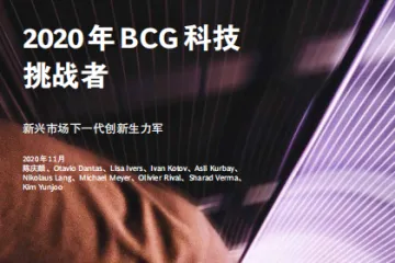 BCG：2020年科技挑战者新兴市场下一代创新生力军