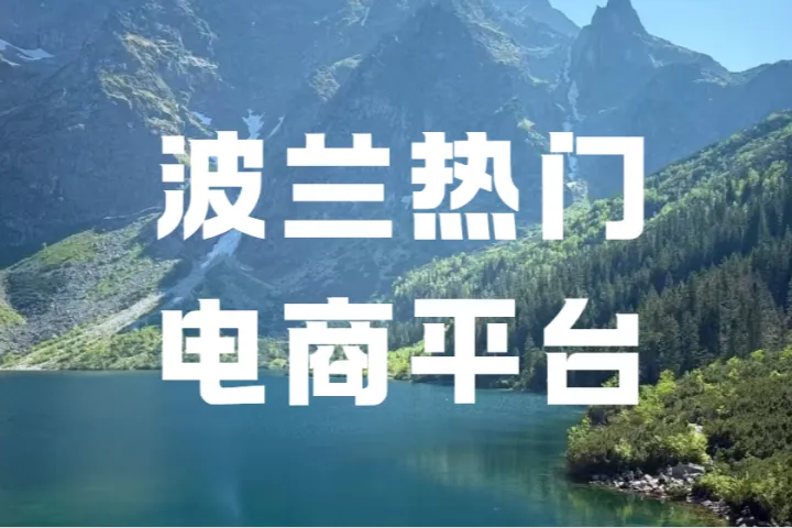 波兰Allegro结算规则大变！3月1日起非本土卖家该注意什么？