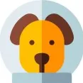 Shopify全面封杀电子烟后，中国卖家该怎么接？