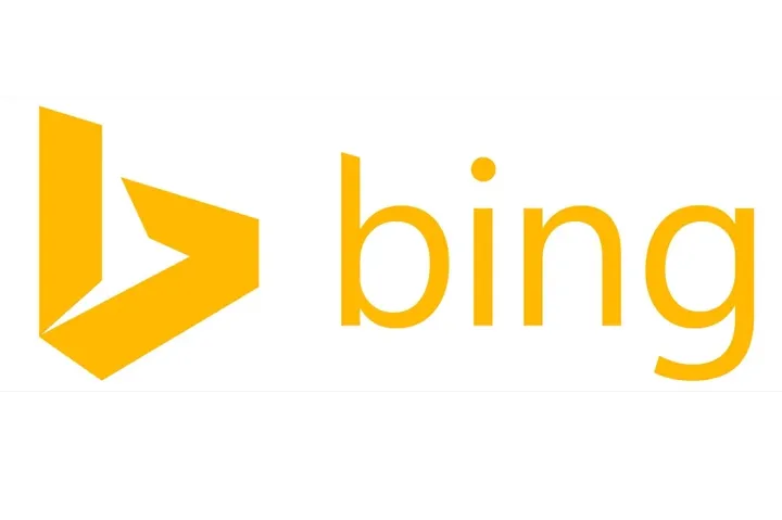 萌宠用品出海欧美市场：借力 Bing 购物广告孵化爆款策略
