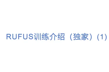 RUFUS训练介绍（独家）(1)