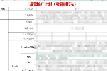 亚马逊运营推广计划-详细到周