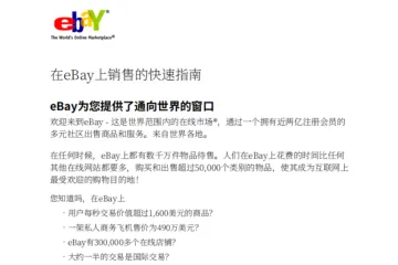 CHS_eBay：跨境电商运营指南全流程解析英文版16页