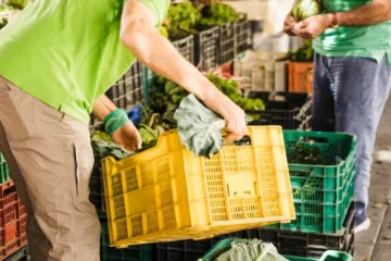 跨境农产品采购必读：TradeKey平台交易全流程详解