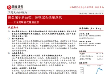 卫龙美味-港股公司首次覆盖报告掘金魔芋新品类辣味龙头壁垒深筑-25063023页