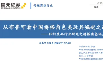 传媒商社行业IP衍生品行业研究之拼搭角色玩具从布鲁可看中国拼搭角色类玩具崛起之路-25011421页
