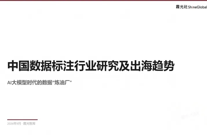AI数据“炼油厂”｜中国数据标注行业研究