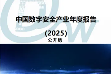 数世咨询中国数字安全产业年度报告202565页