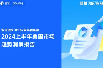 鸥鹭亚马逊TikTok双平台监控2024上半年美国市场趋势洞察报告73页