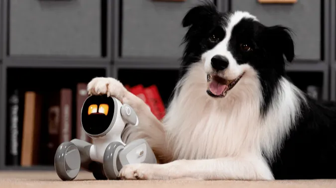 “赛博养宠”爆卖9万件，老外开始品电子人生