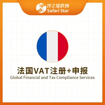 【<em>沙</em>之星】法国VAT注册申报