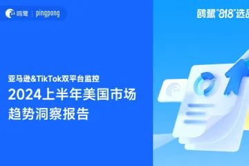 鸥鹭：亚马逊TikTok双平台监控2024上半年美国市场趋势洞察报告